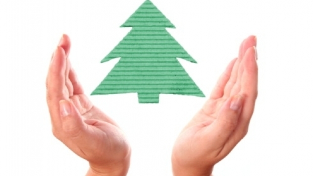 How to choose an environmentally friendly Christmas tree and decorations