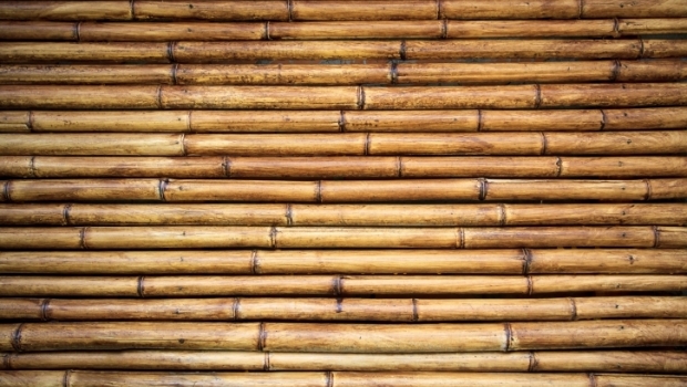 Decorating with bamboo