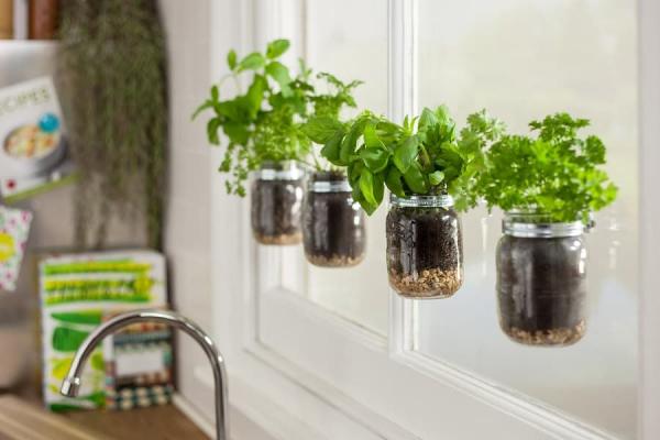 Floating-garden-in-kitchen-by-sugrucom