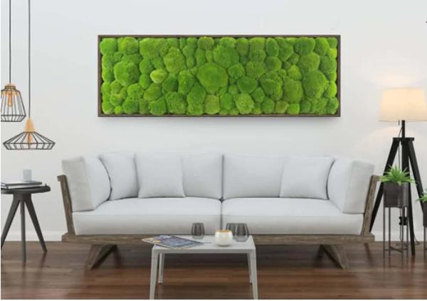 Quadro con muschio stabilizzato Ball Moss - Moss Trend